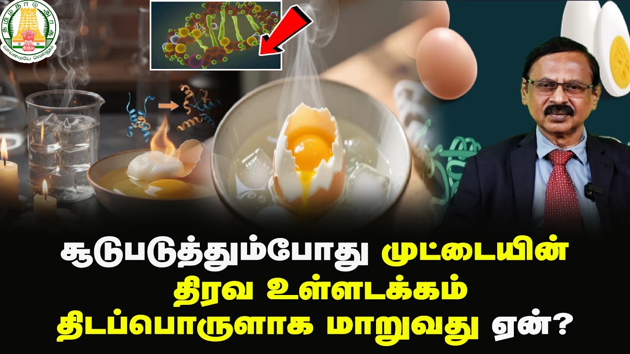 சூடுபடுத்தும்போது முட்டையின் திரவ உள்ளடக்கம் திடப்பொருளாக மாறுவது ஏன்? | WHY WHAT HOW?