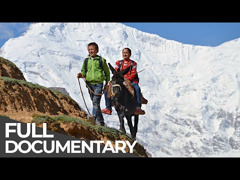 Most Dangerous Ways To School | CHINA | Free Documentary
