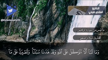 سورة ابراهيم حالات واتس اب قران اسلام صبحي