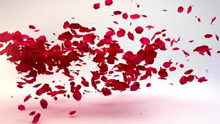 Tüm Kadınların 8 Mart Dünya Kadınlar Günü Kutlu Olsun