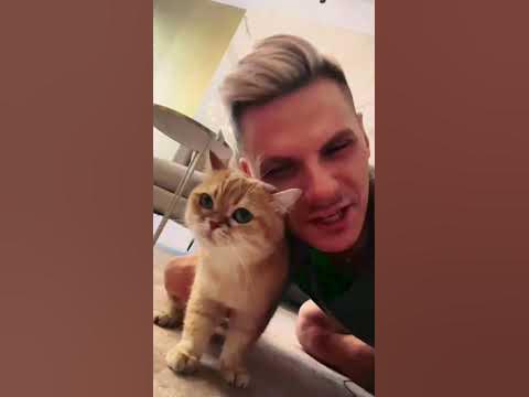 Котэ - YouTube