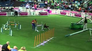 Servais Patrick, Dgic Junior, Bbm, Fra, Agility Large, Agility Wc 2011.Mts