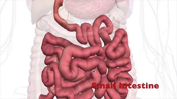 AR Science Vocab Words Dr. Don McMahon using Aurasma