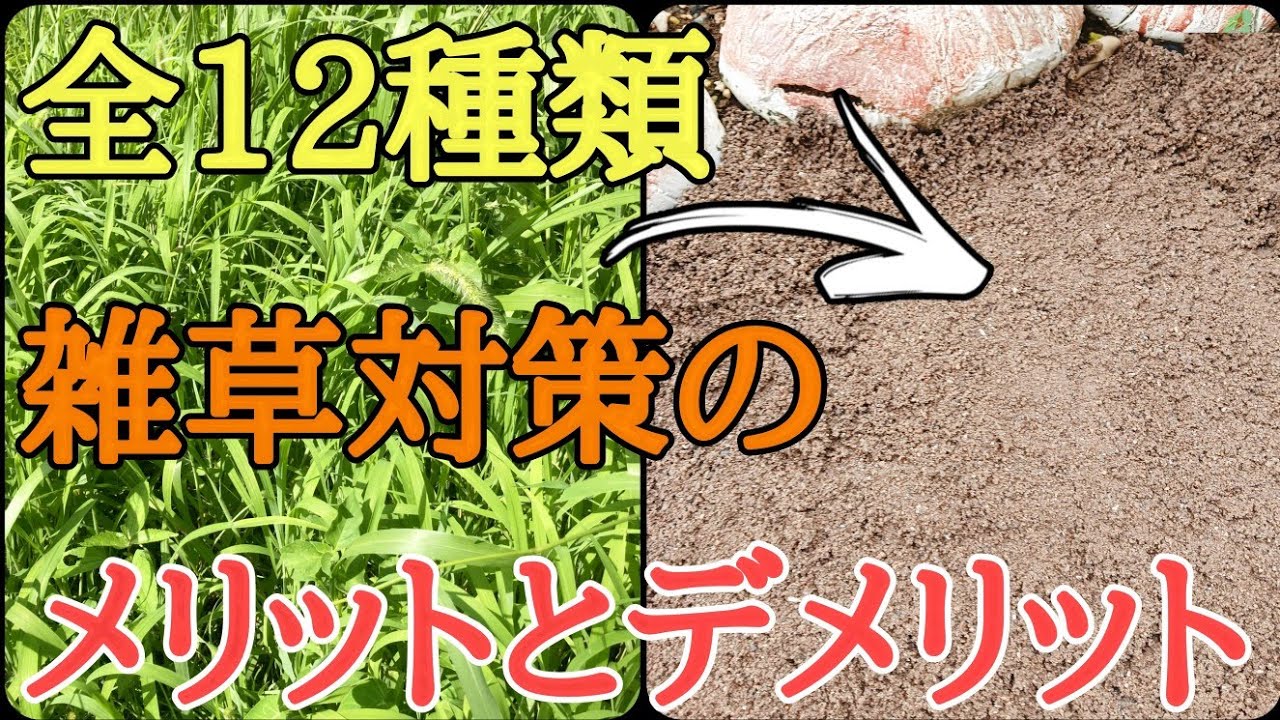 【雑草対策で失敗しない方法】デメリットを考えて対策すると失敗しなくなります