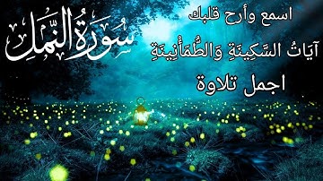سورة النمل | آيات السكينة .اجمل تلاوة هادئة ومؤثرة 🎧 راحة نفسية .تلاوة خاشعة | surah An-Naml