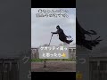 夜見たら失禁するわ W Shorts おすすめ カカシ 夜見たら失禁するわ W Shorts おすすめ カカシ