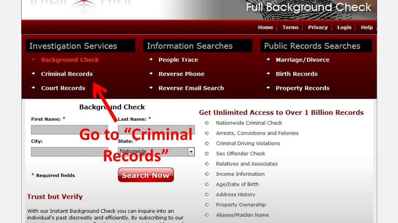 Michigan Criminal Records YouTube