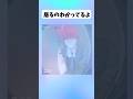 【チェンソーマン】マキマが来た! #アニメ #イラスト #チェンソーマン