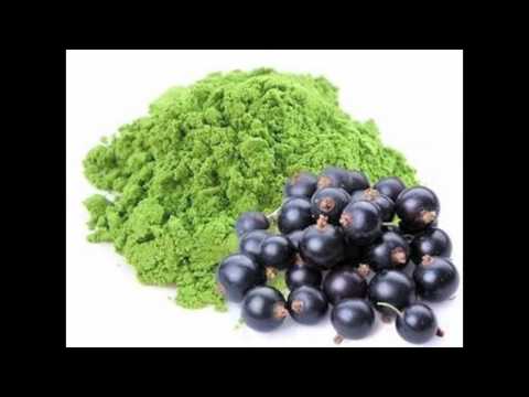 The Effect of Acai Extract vs Green Tea Extract on Fatty HUH7 Cells