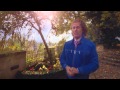 André Rieu - "Lagunenwalzer"