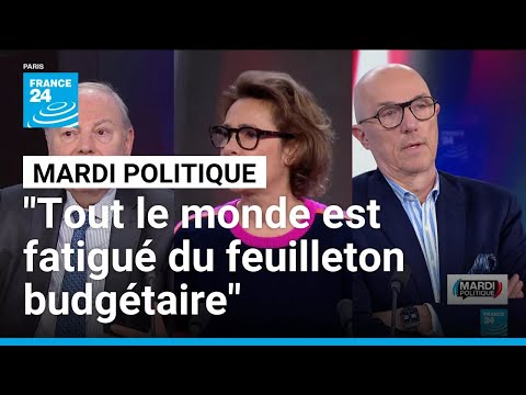 Hervé Marseille (UDI) : "Tout le monde est fatigué du feuilleton budgétaire" • FRANCE 24