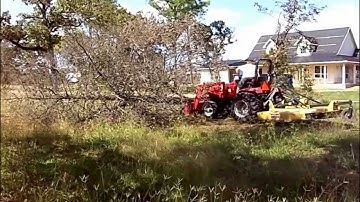 Tractor pushing trees