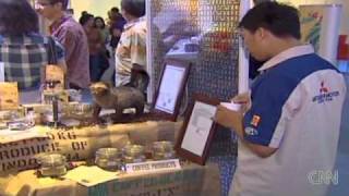 CNN coverage of Kopi Luwak: Indonesia's rich cup or 'crappuccino'?