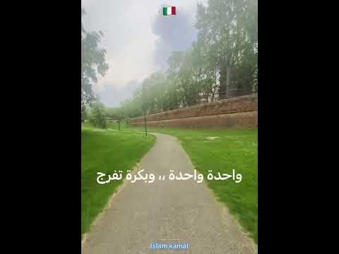 هي زقة وتجيب في زقة أحمد سعد صدقيني سايرينا يا دنيا حالات واتس