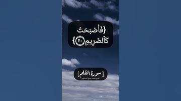 سورة القلم الآية ١٧ الى ٢٦ بصوت الشيخ محمد صديق المنشاوي