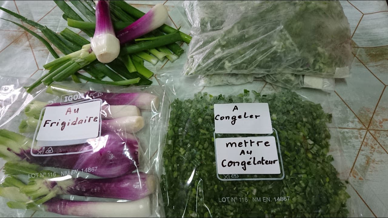 Comment Conserver Les Oignons De Jacinthes