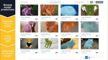 Curating and improving your training dataset and model with Segments.ai