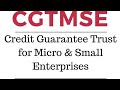 What is a MSME And Credit Guarantee Trust for Micro and Small Enterprises Scheme