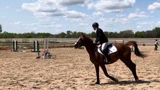 Abby’s Show Jumping, May 11, 2024