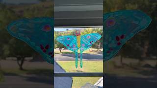 How to Make a Luna Moth Window Cling