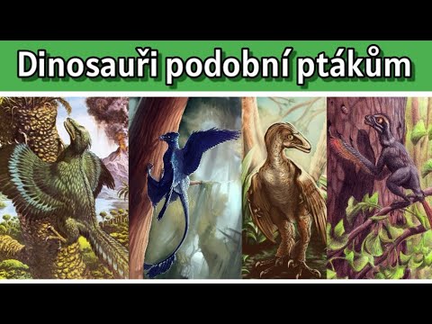 Video: Křídla Potvrzují: Ptáci Pocházející Z Dinosaurů - Alternativní Pohled