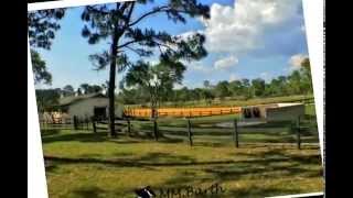 Horse Lovers Paradise Vacant Property / Land  for Sale in Pine Ridge, Florida for $109.000