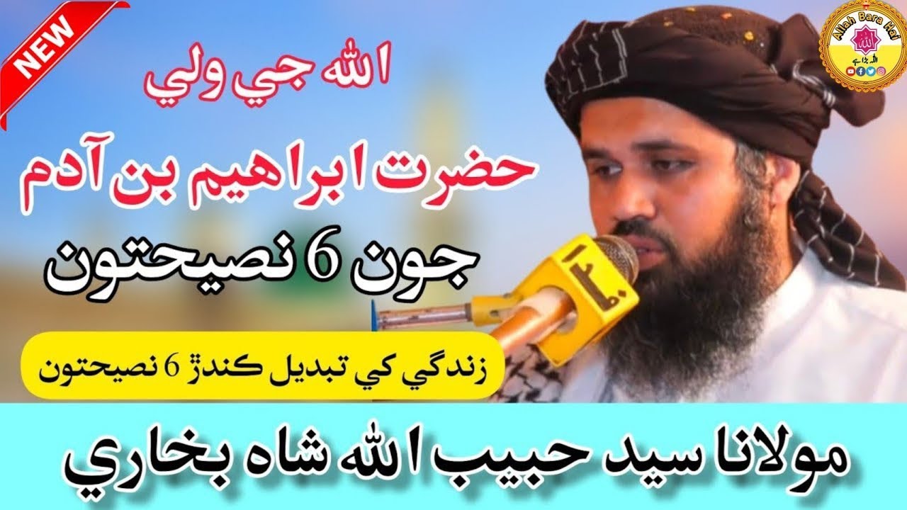 Hazrat ibraheem bin adam jon 6 naseehton || Molana syed habibullah shah bukhari 2022