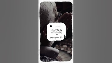 كل نفس ذائقة الموت ... عبدالرحمن مسعد // قرآن كريم // حالات واتس اب// ستوريات انستغرام💜🌿