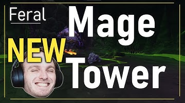 New WoW Patch 9.1.5 Feral Mage Tower Kill Video Guide - World of Warcraft Shadowlands 9.1.5