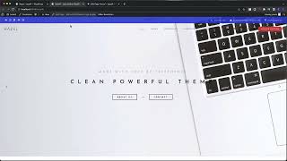 Hazel - Work with theme options