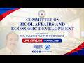 COMMITTEE ON BICOL AFFAIRS AND ECONOMIC DEVELOPMENT | MAY 26, 2026
