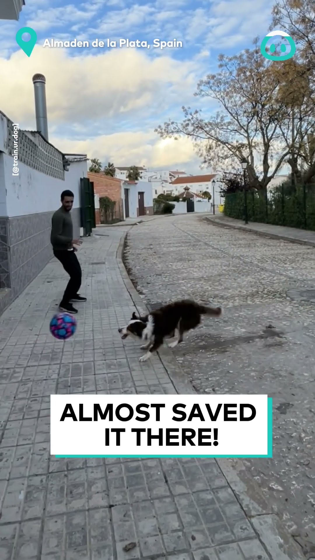 Keepie Uppies With Dog || ViralHog