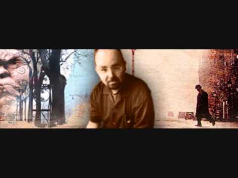 პროექტი „კოდექს აუდიო“- კარლოს რუის საფონი /კატოს საღამოები“/რადიო იმედი, Radio Imedi