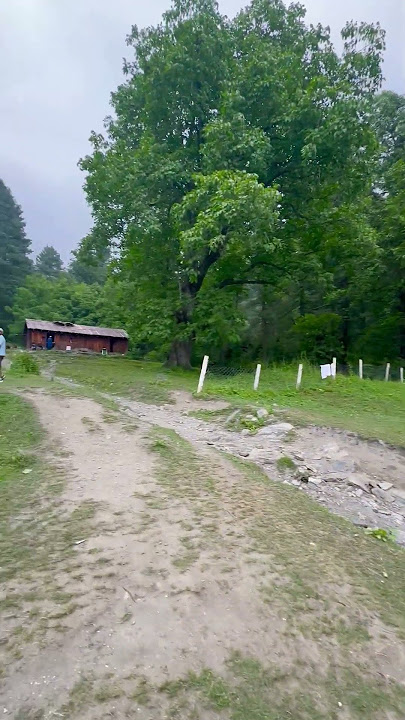 Shahran forest