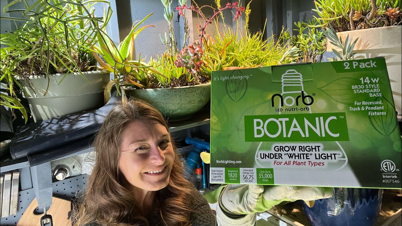 setting-up-the-winter-grow-room-youtube