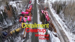 CN derailment cleanup and trains
