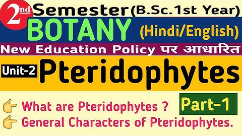 2nd Semester Pteridophytes/General Characteristics of Pteridophytes/Pteridophytes General Characters