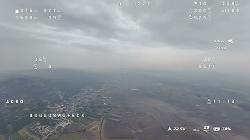 AtomRc Dolphin Pro Maiden