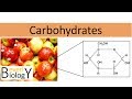 Carbohydrates and Their Functions