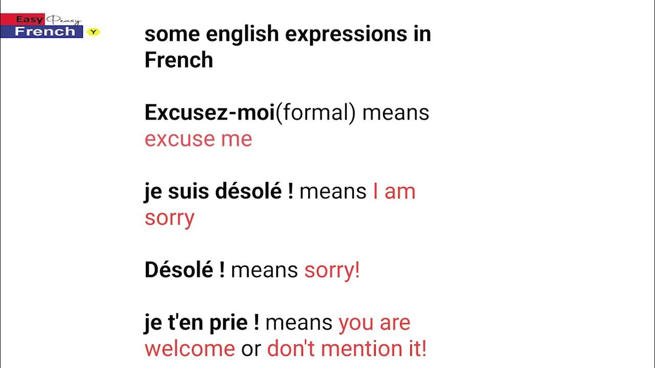 how to say sorry and excuse me in French ,plus simple words expressions YouTube
