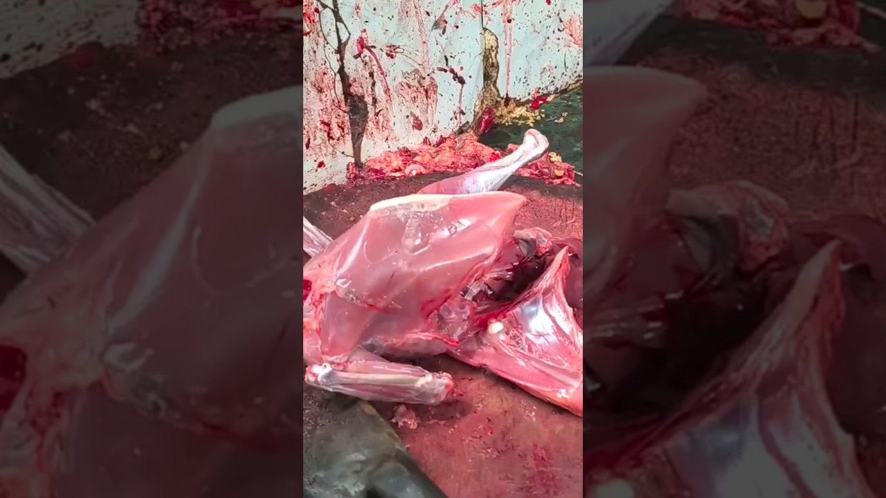 Nepali Local Chicken Curry 🐔🔥 | Cooker Magic