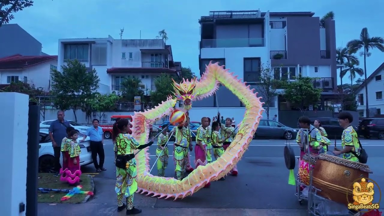 4K | CNY 2026 | 國藝龍獅院 Guoyi Longshi Yen | Lion & Dragon Dance Performance | 17.02.26