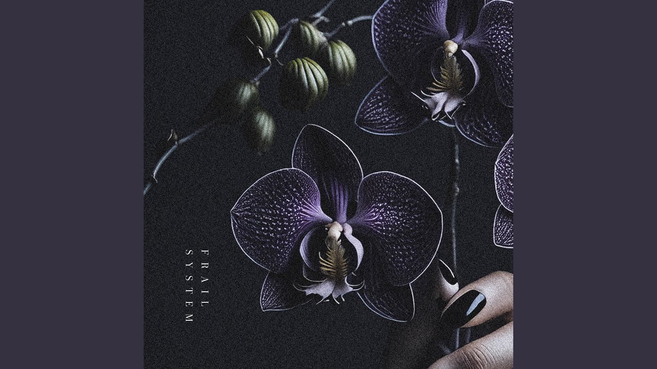 Watch SMOKE BLOOM on YouTube Watch SMOKE BLOOM on YouTube