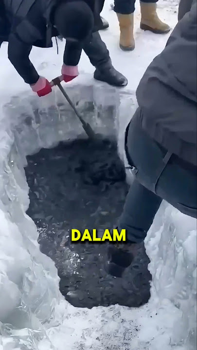 Pergi memancing di danau yang beku❗😳 #shorts #shortvideo