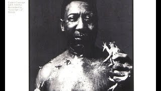 Muddy Waters - Blues and Trouble