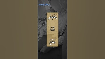 بر الوالدين والدعاء لهما            سورة الإسراء الاية 23-24