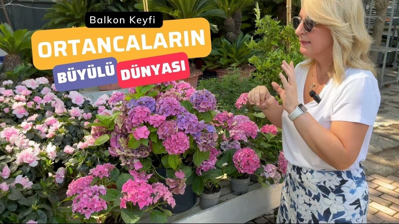 🌿ORTANCALARIN BÜYÜLEYİCİ DÜNYASI