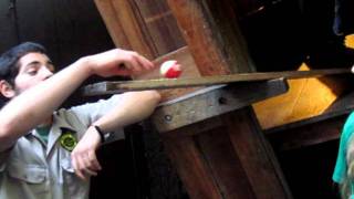 MVI_1074.MOV
