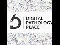 152: AI in Pathology, ML-Ops, and the Future of Diagnostics – 7-Part Livestream 7/7
