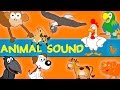 Animals sounds  sounds of the animals song  learn animal and sounds of animals